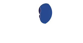 Logo Dr. Mikael Vieira